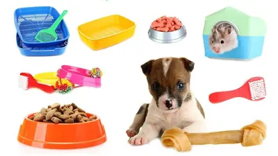 Sklep Zoologiczny Przysmaki Pupila